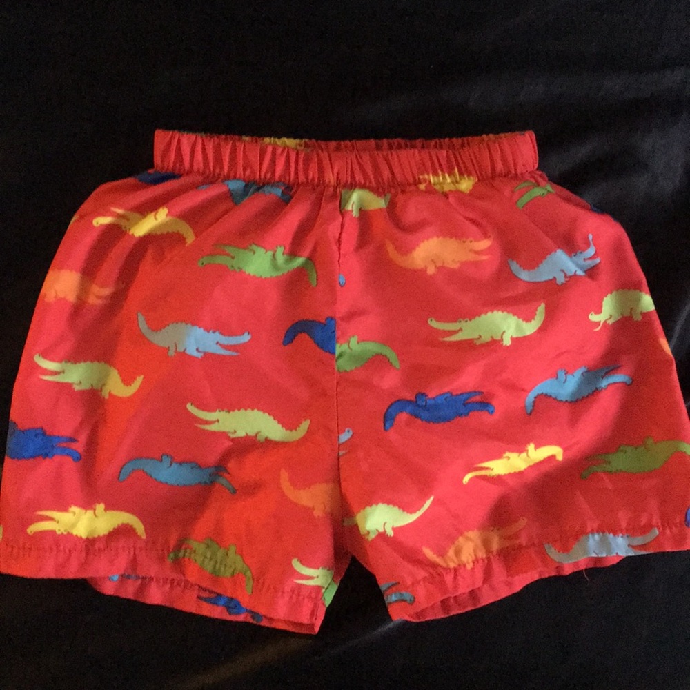 Infant swim with liner
